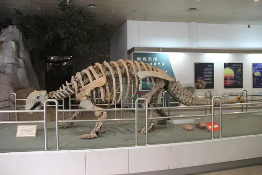 Ankylosaurus, photo 1 of 3