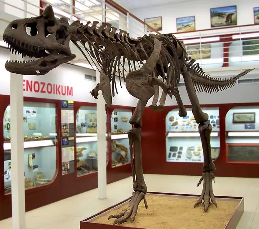 Carnotaurus, photo 2 of 3