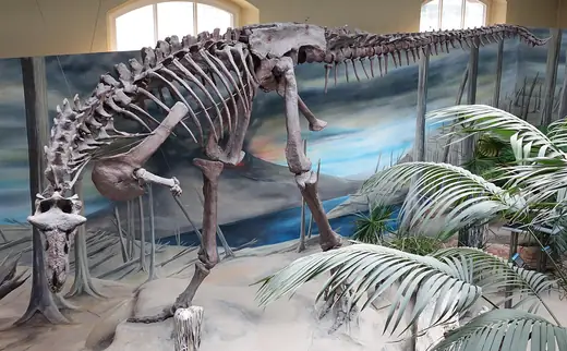 Carnotaurus, photo 3 of 3