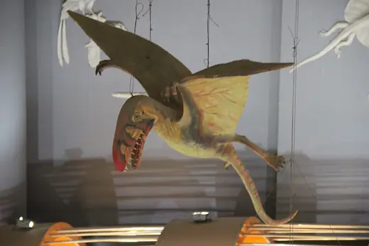 Dimorphodon, photo 3 of 3