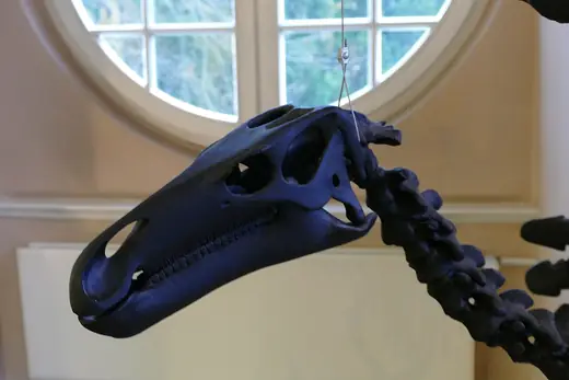 Iguanodon, photo 2 of 3