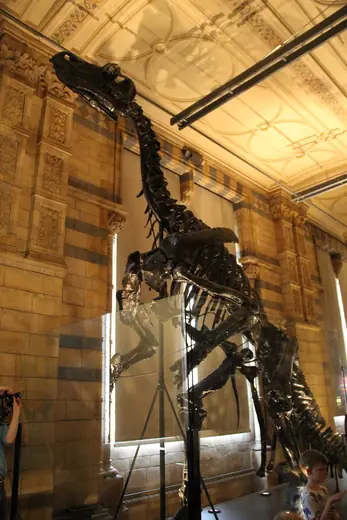 Iguanodon, photo 3 of 3