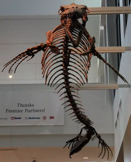 Mosasaurus, photo 3 of 3