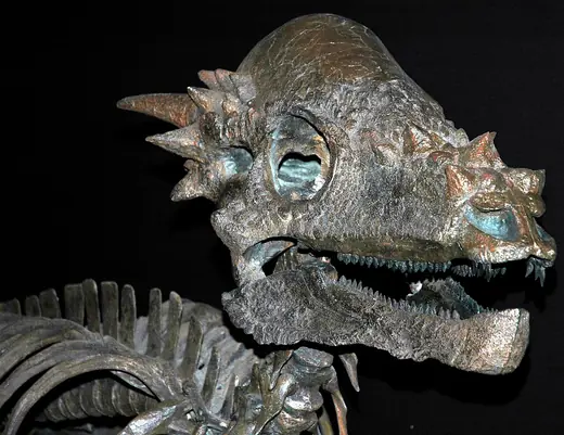 Pachycephalosaurus, photo 2