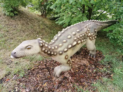 Scelidosaurus, photo 3 of 3