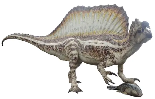 Spinosaurus, photo 3 of 3