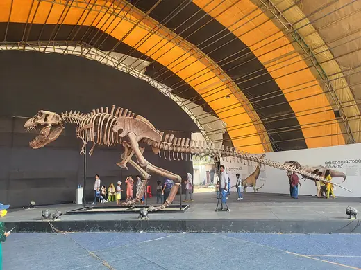 Tyrannosaurus rex, photo 1 of 3